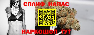 МДПВ Дубна