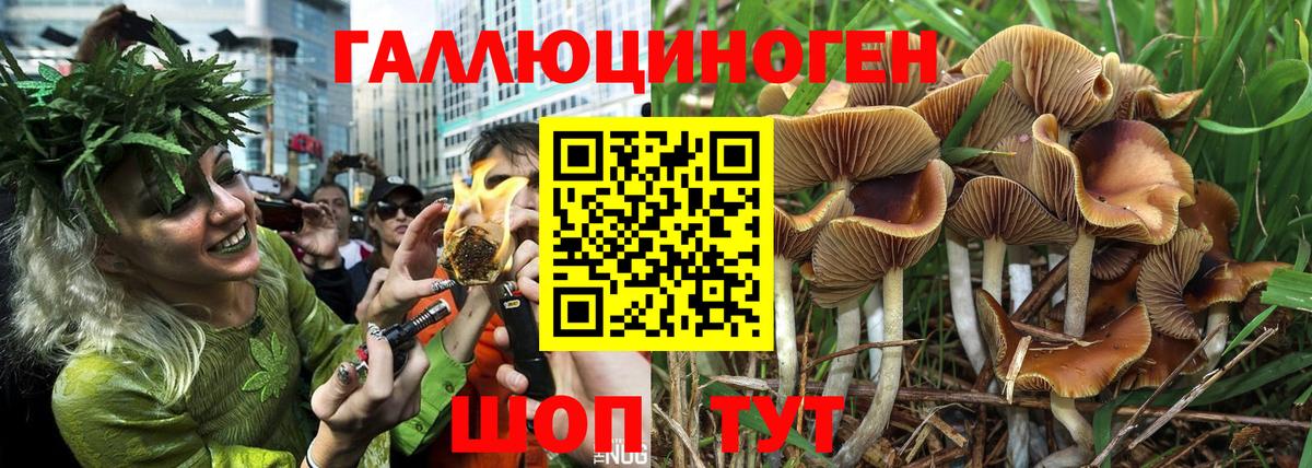 Минеральные Воды  Псилоцибиновые грибы мицелий  что такое наркотик  Вход с VPN 